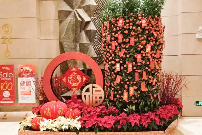 春节年花年桔服务